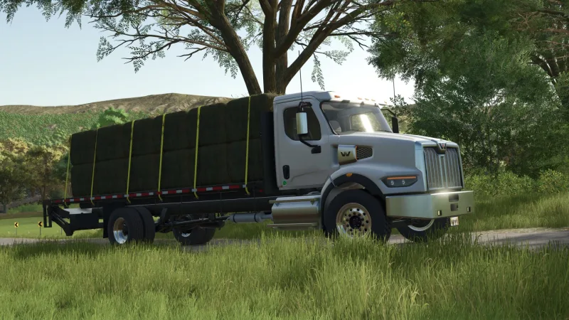 Western Star 49X Stakebed FS25