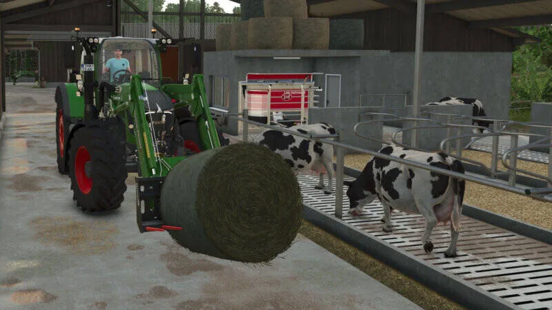 Cow Feed Consumption Order