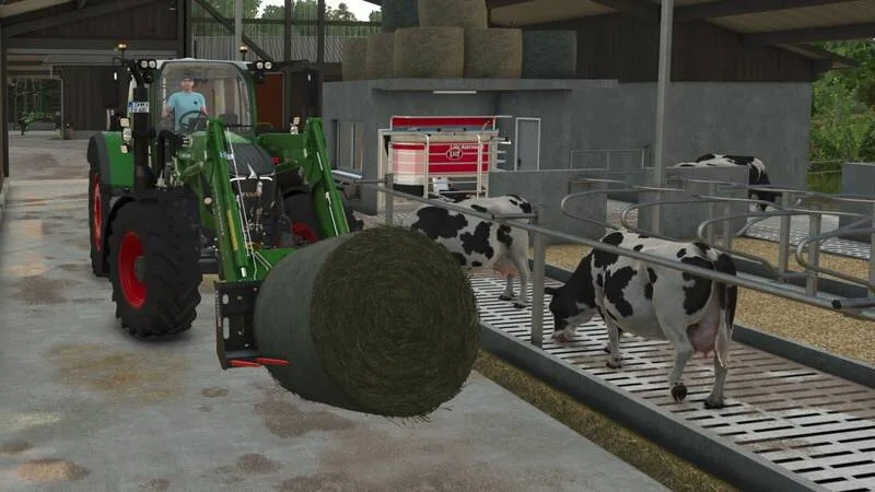 Cow Feed Order