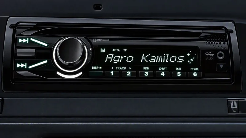 Custom radio FS25