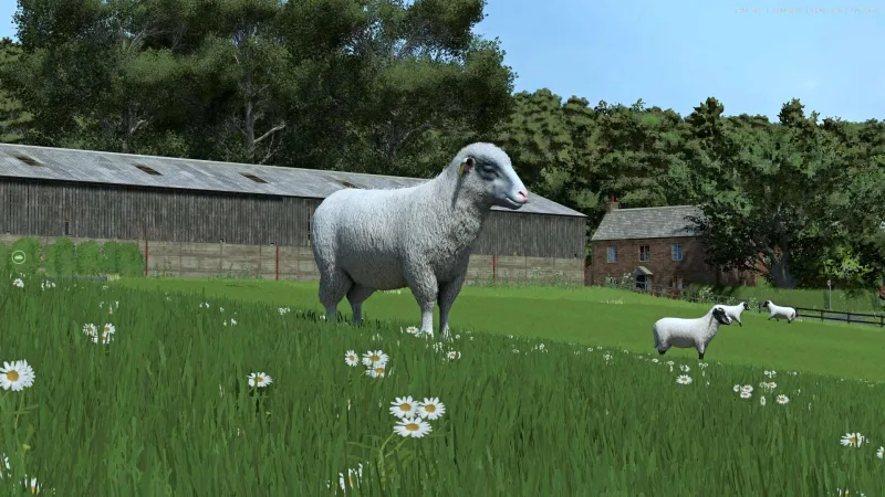 Sheep Breeds for RLRM v1.0