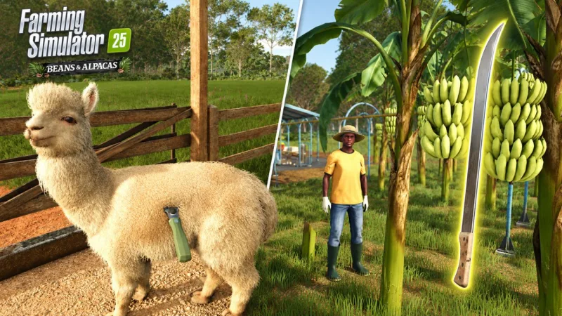 Beans & Alpacas Expansion FS25