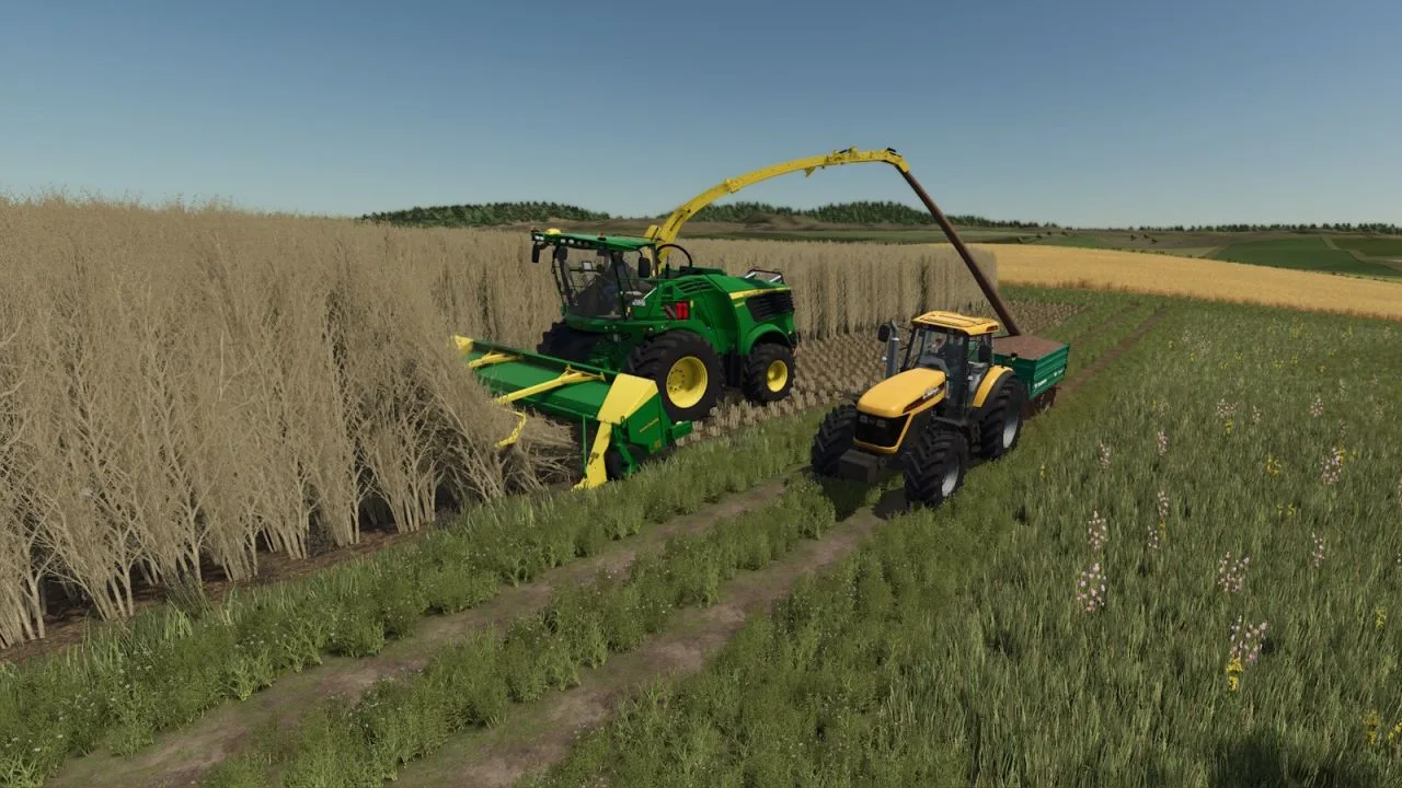 Lizard Pop6x FS25