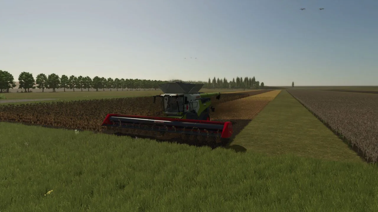 Helianthus Pack FS25