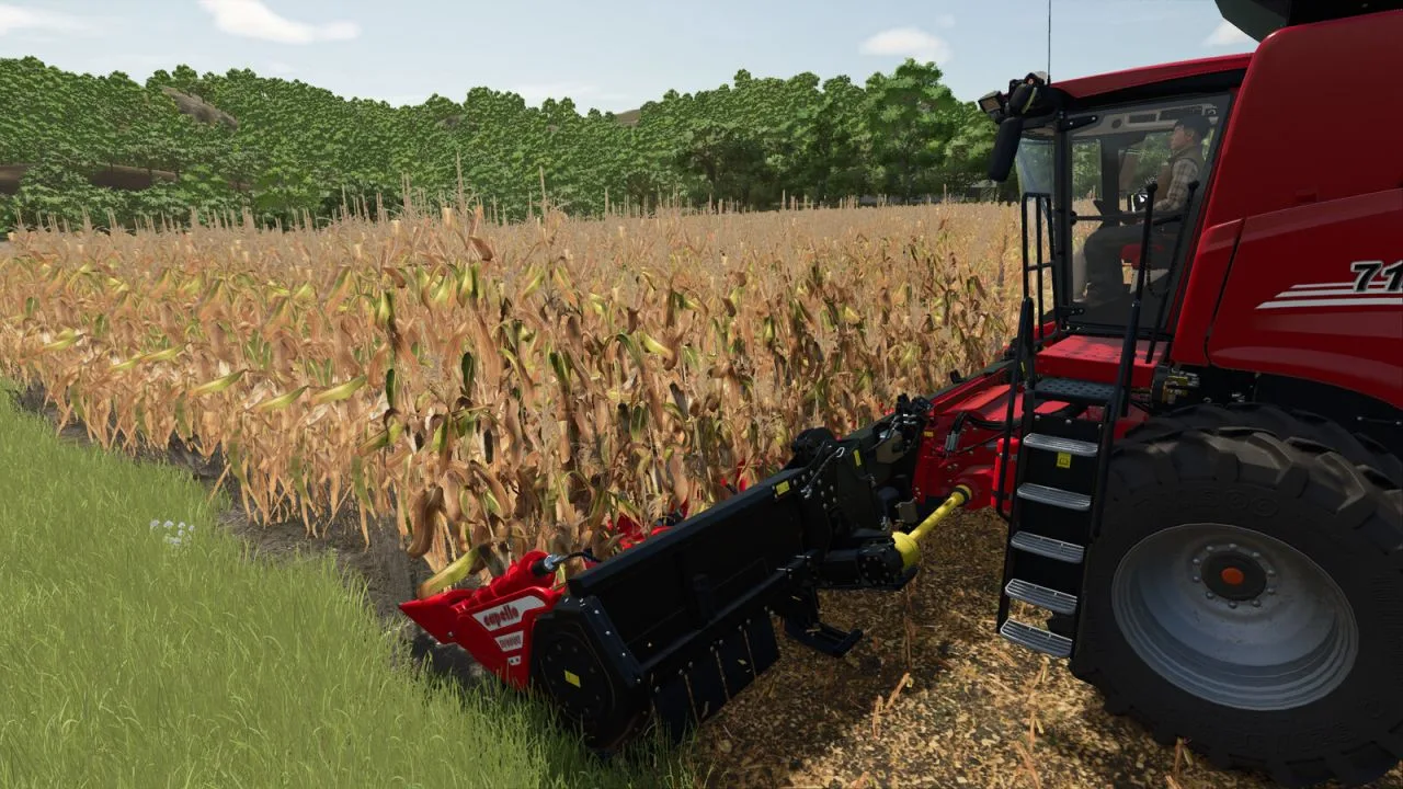 Capello Diamant 12 FS25
