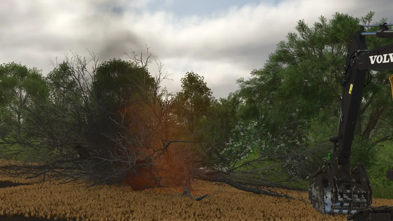 Land Clearing FS25